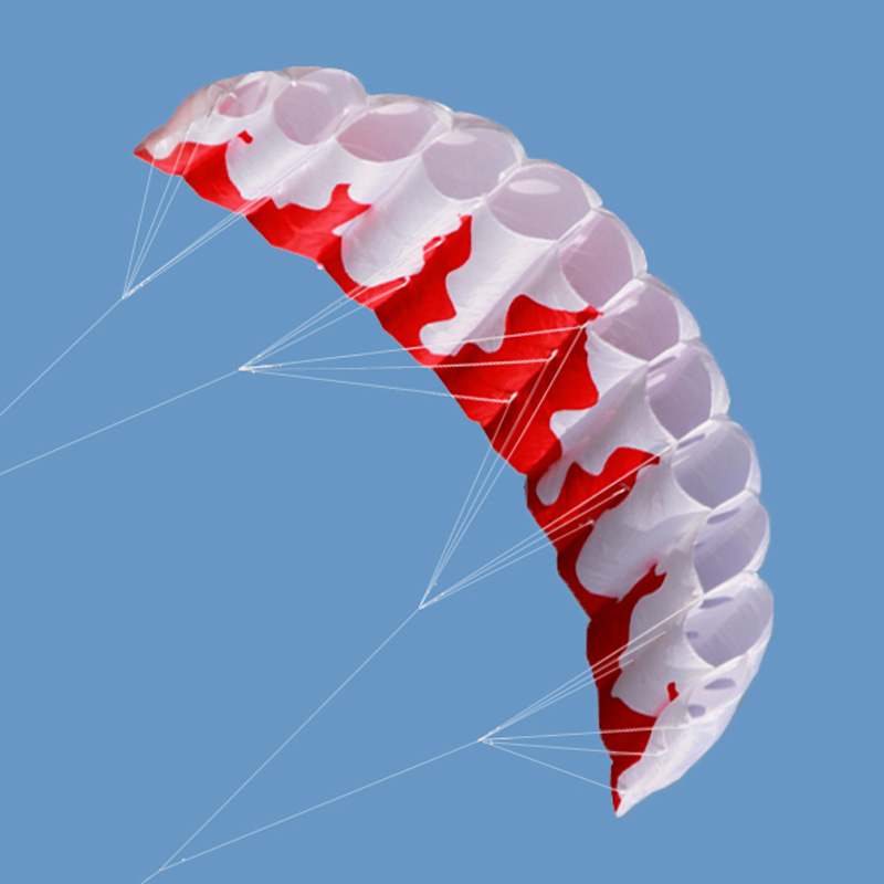 Kite Surf Bar Control - ใหม่คุณภาพสูง2M เปลวไฟไนลอนแบบ Dual Line Parafoil Kite